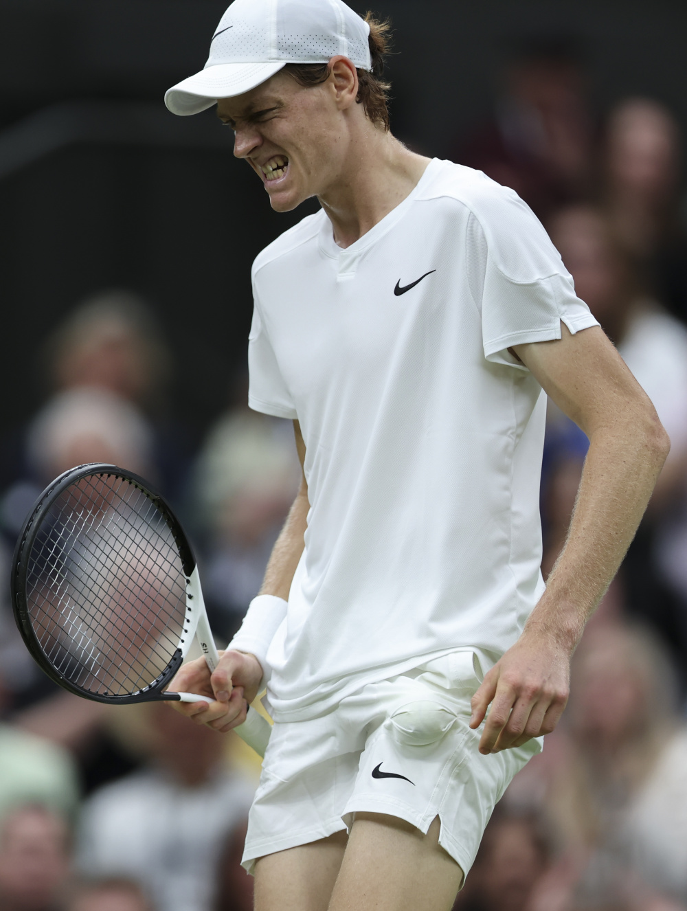 能会对裁判 能会对裁判